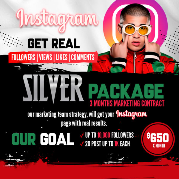 Instagram Silver Package